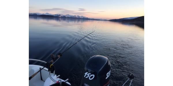 Fiskebåt