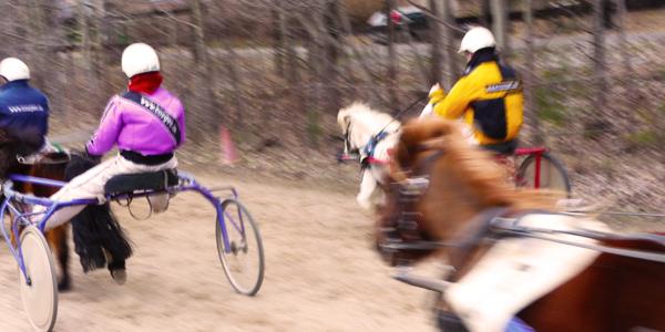 Ponnytrav-stockholm-företag-600_300