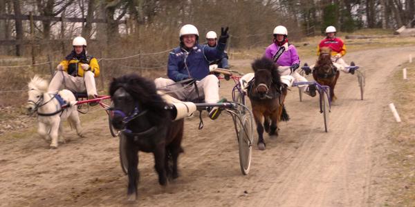 företags-trav-stockholm-600_300