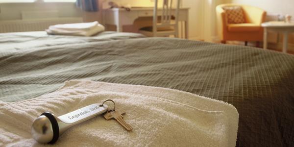 Konferns-och-mötesrum-lejondal-600_300